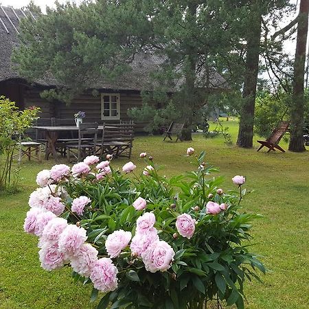 Maenni Summerhouse Kassari Eksteriør bilde